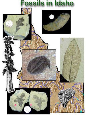 Fossils in Idaho